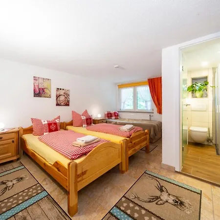 Appartements Und Ferienhaus Gasthof Kanzlersgrund Oberhof  Extérieur photo
