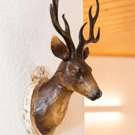 Appartements Und Ferienhaus Gasthof Kanzlersgrund Oberhof  Extérieur photo