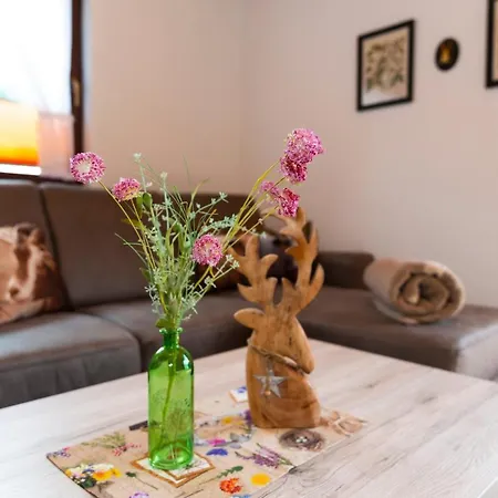 Appartements Und Ferienhaus Gasthof Kanzlersgrund Oberhof  Extérieur photo