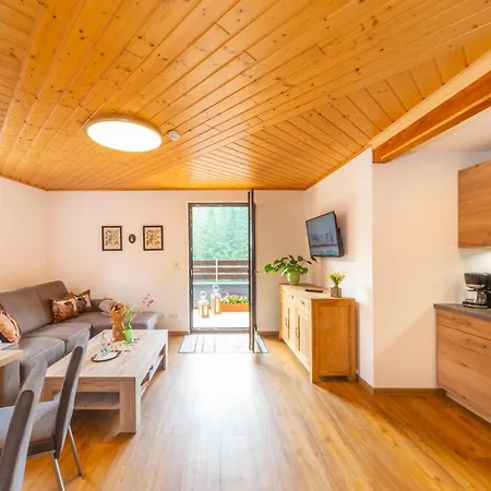 Appartements Und Ferienhaus Gasthof Kanzlersgrund Oberhof  Extérieur photo