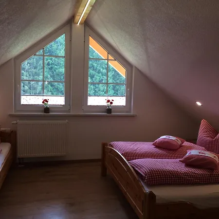 Appartements Und Ferienhaus Gasthof Kanzlersgrund Oberhof  Extérieur photo