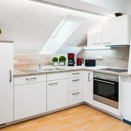 Appartements Und Ferienhaus Gasthof Kanzlersgrund Oberhof  Extérieur photo