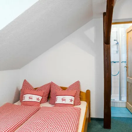 Appartements Und Ferienhaus Gasthof Kanzlersgrund Oberhof  Extérieur photo