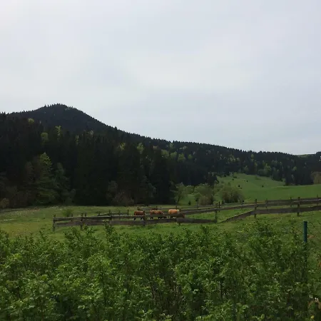 Appartements Und Ferienhaus Gasthof Kanzlersgrund Oberhof  Extérieur photo