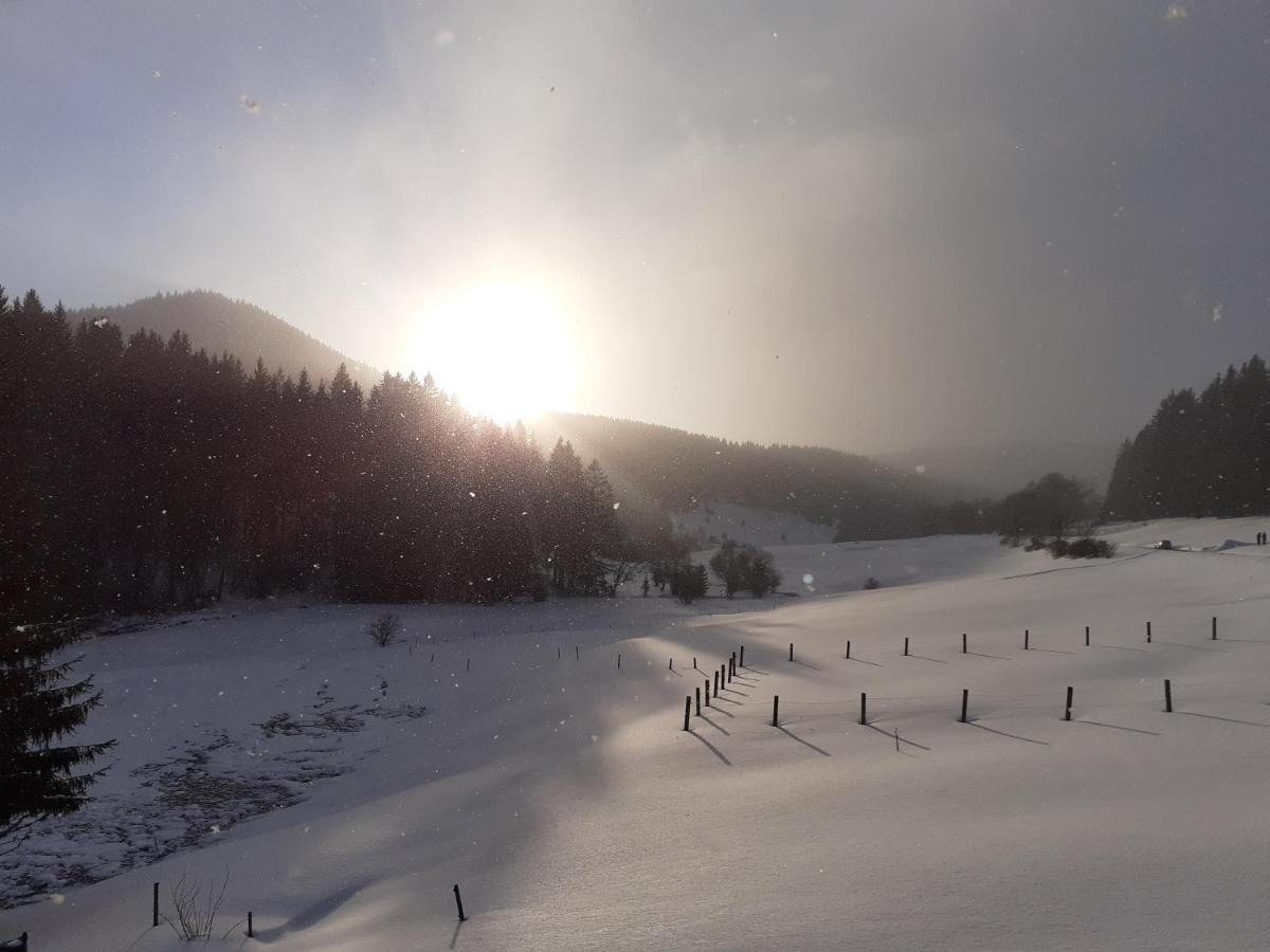 Kanzlersgrund Oberhof (Thuringia)