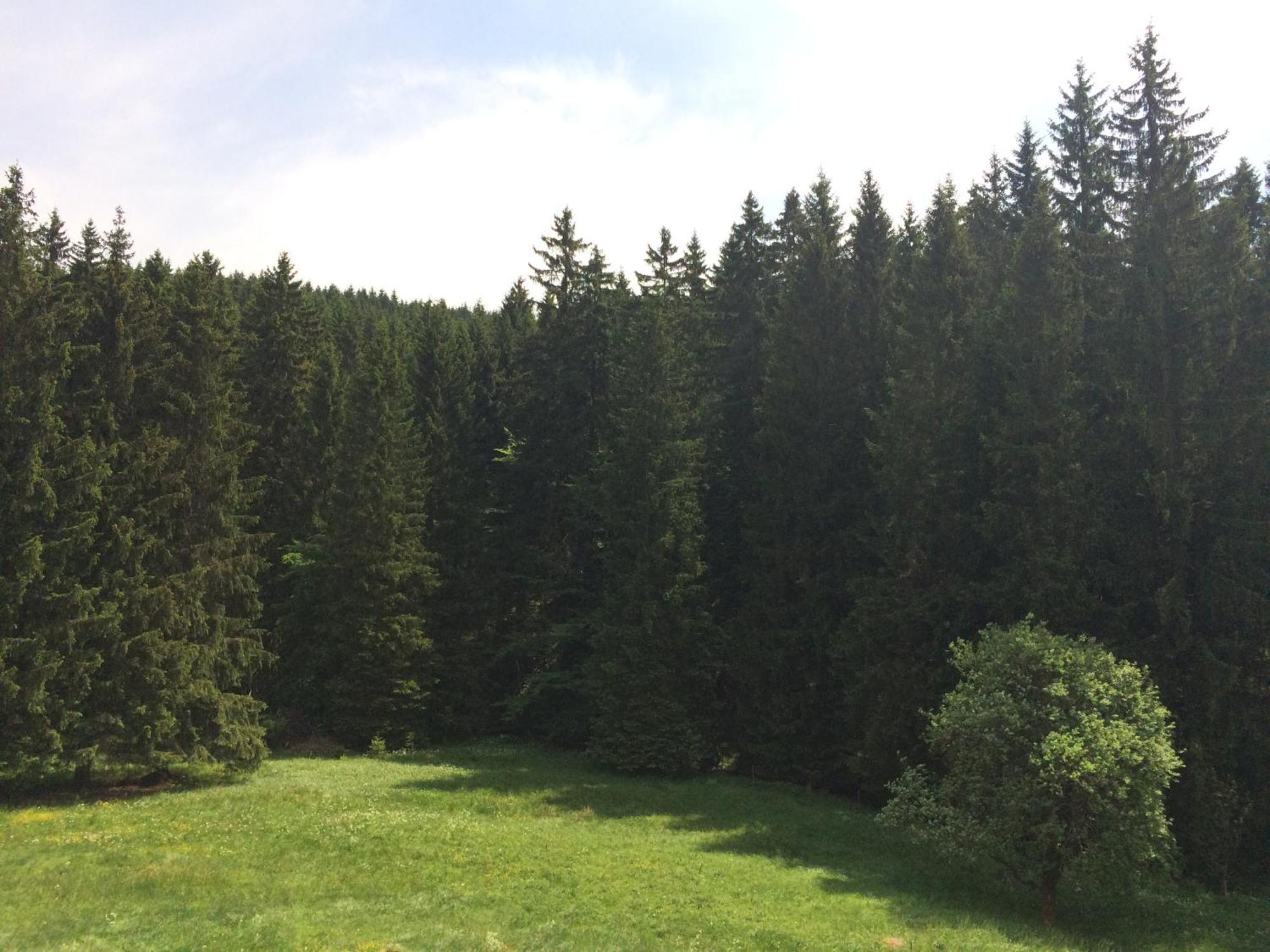 Kanzlersgrund Oberhof (Thuringia)