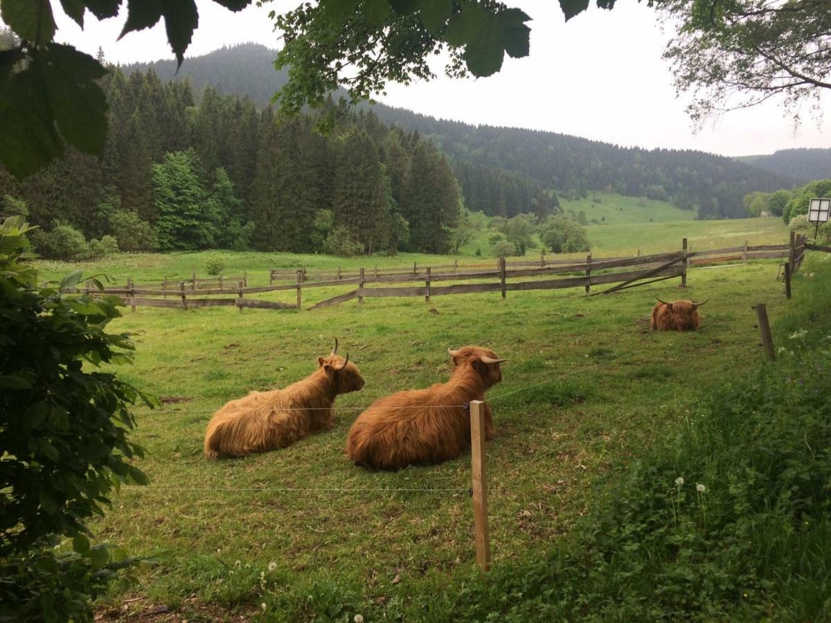 Kanzlersgrund Gasthof *