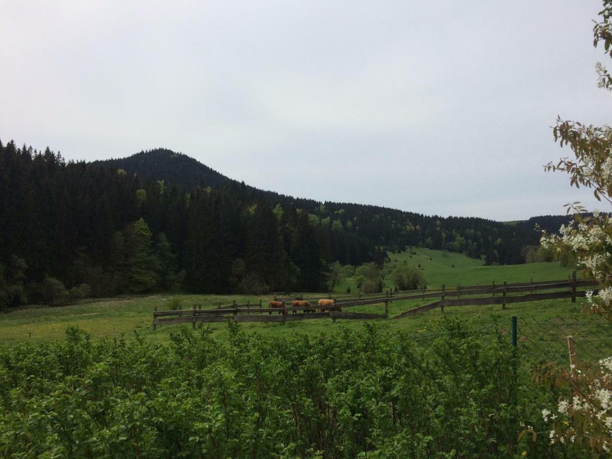 Kanzlersgrund